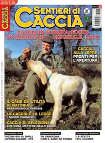 Luglio 2018 
                issue Luglio 2018