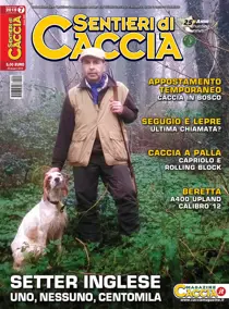 Luglio 2019 
                issue Luglio 2019