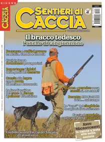 SENTIERI DI CACCIA GIUGNO 2015 
                issue SENTIERI DI CACCIA GIUGNO 2015