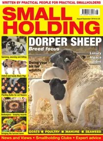 Aug/Sep 2019 
                issue Aug/Sep 2019