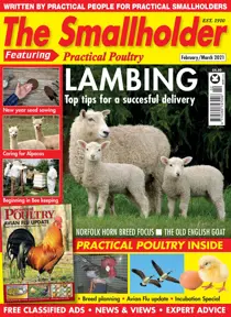 Feb/Mar 2021 
                issue Feb/Mar 2021