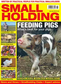 Jun/Jul 2019 
                issue Jun/Jul 2019