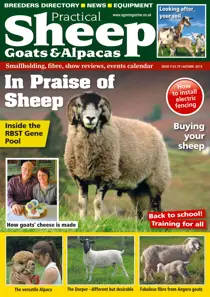 No. 10 In Praise of Sheep 
                issue No. 10 In Praise of Sheep