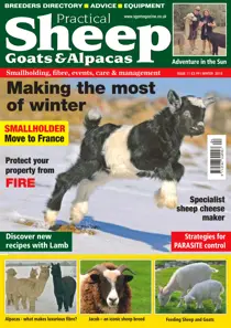 No. 11 Making The Most Of Winter 
                issue No. 11 Making The Most Of Winter