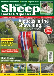 No. 13 Alpacas In The Show Ring  
                issue No. 13 Alpacas In The Show Ring 