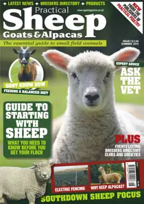 No.1 Starting with Sheep 
                issue No.1 Starting with Sheep