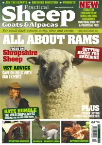 No.2 All About Rams 
                issue No.2 All About Rams