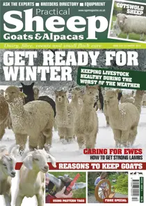 No.3 Get Ready for Winter 
                issue No.3 Get Ready for Winter