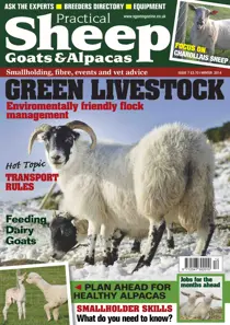 No.7 Green Livestock 
                issue No.7 Green Livestock