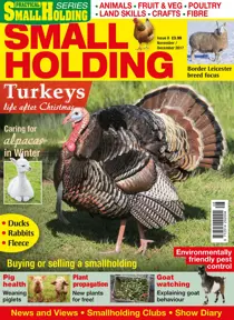 November/December 2017 
                issue November/December 2017