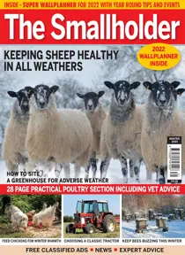 Winter 2021 
                issue Winter 2021