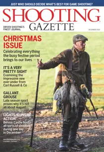 December 2019 
                issue December 2019
