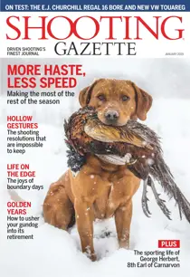 January 2019 
                issue January 2019