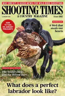 06-Jan-2021 
                issue 06-Jan-2021