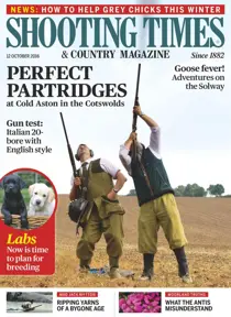 12th October 2016 
                issue 12th October 2016