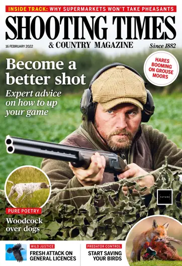 Shooting Times & Country Preview