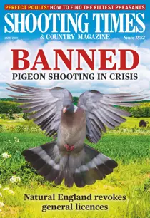 1st May 2019 
                issue 1st May 2019