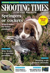 23-Aug-2023 
                issue 23-Aug-2023