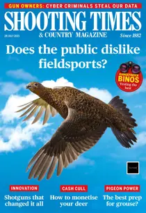 28-Jul-2021 
                issue 28-Jul-2021