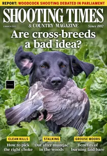 8-Mar-2023 
                issue 8-Mar-2023