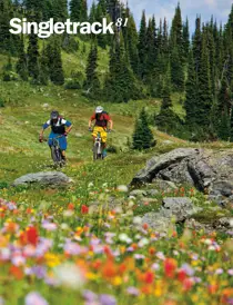 81 
                issue 81