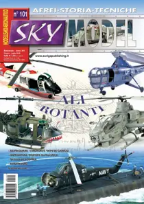 101 
                issue 101