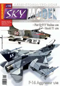 110 
                issue 110