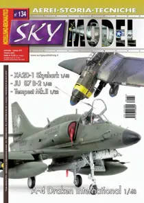 Sky Model 134