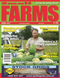 April 2017 
                issue April 2017