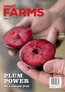 April 2020 
                issue April 2020