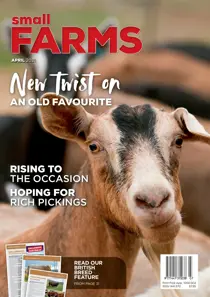 April 2021 
                issue April 2021