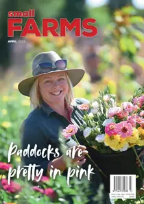 April 2023 
                issue April 2023