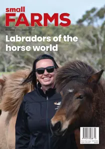 December 2024 
                issue December 2024