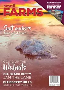 February  2019 
                issue February  2019