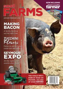 January / February 
                issue January / February