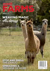 March 2021 
                issue March 2021