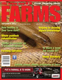 November 2014 
                issue November 2014