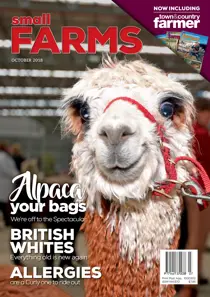 October 2018 
                issue October 2018