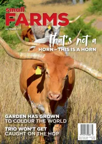 October 2021 
                issue October 2021