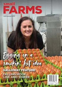 September 2022 
                issue September 2022