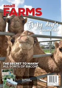 September 2021 
                issue September 2021