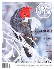 Snow Action South 
                issue Snow Action South