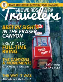 November 2018 
                issue November 2018