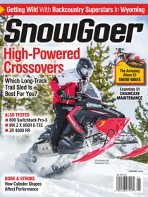 January 2016 
                issue January 2016