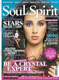 November 2011 
                issue November 2011