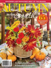 Southern Lady Southern Style for Fall  2023