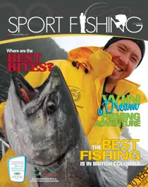 2009 
                issue 2009