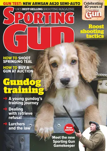 Sporting Gun Preview