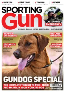 Sporting Gun Discounts