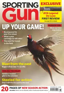 November 2019 
                issue November 2019